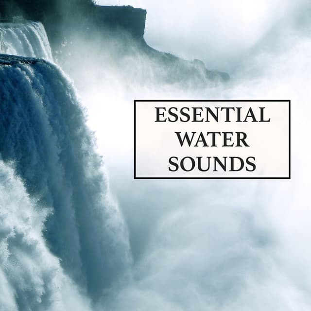 Essential Water Sounds Mix - The Ultimate Collection of Rain and Water Sounds to Relax, Revive, De-Stress, Encourage Mindfulness a