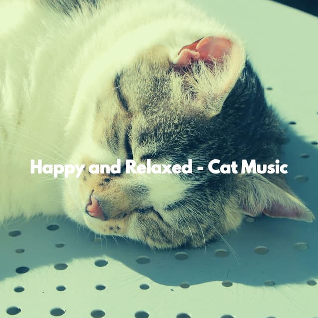 Happy and Relaxed - Cat Music