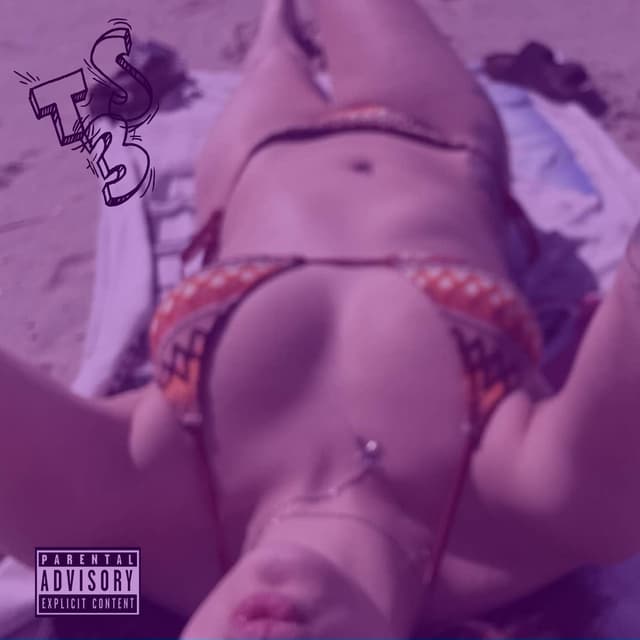 TS3