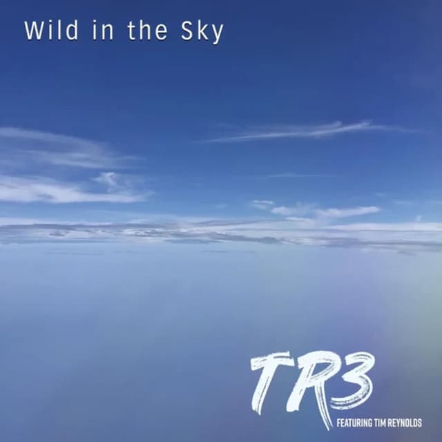 Wild in the Sky