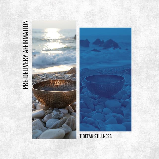 Tibetan Stillness: Nurturing New Life's Harmony, Ocean Hypnosis