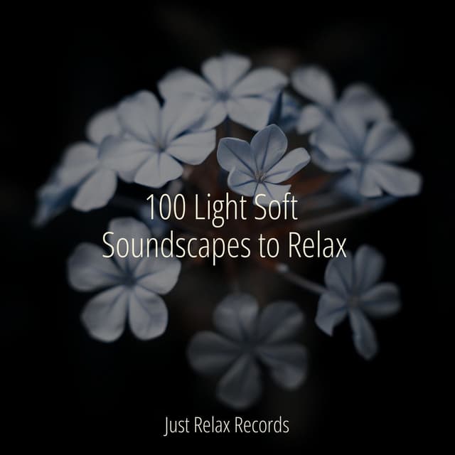 100 Light Soft Soundscapes to Relax