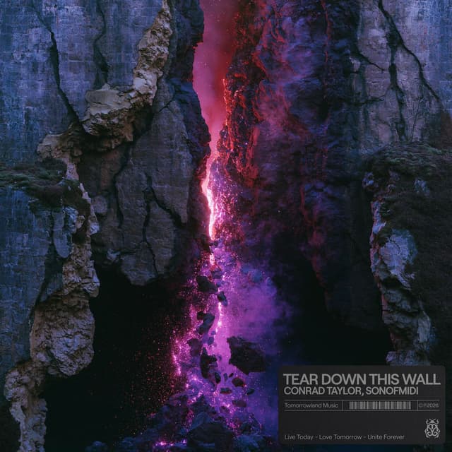 TEAR DOWN THIS WALL