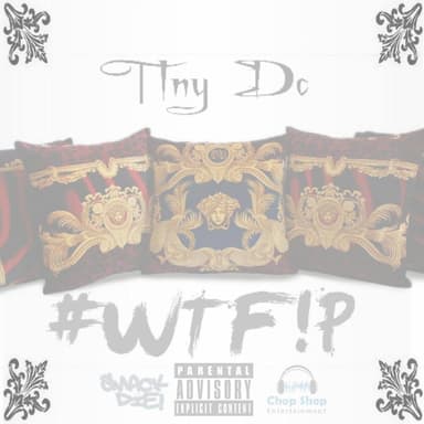 #WTF!P (What the Fuck Is a Pillow)