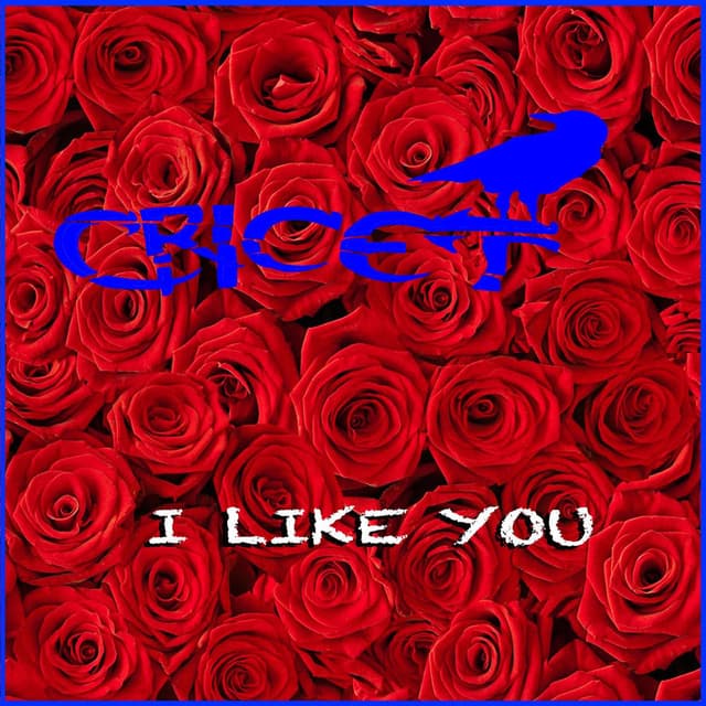 I Like You