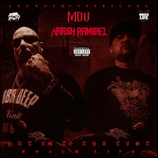 Put Em To Tha Test (feat. Harsh Ramirez)