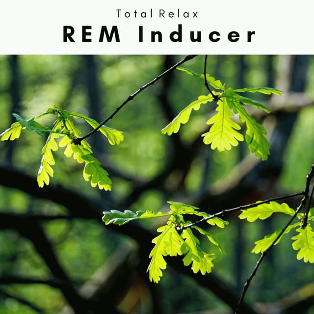 1 REM Inducer