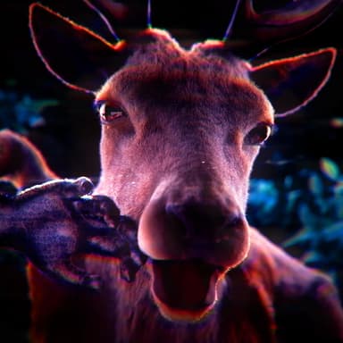 Don't Make A Move (99 Nights In The Forest Song)