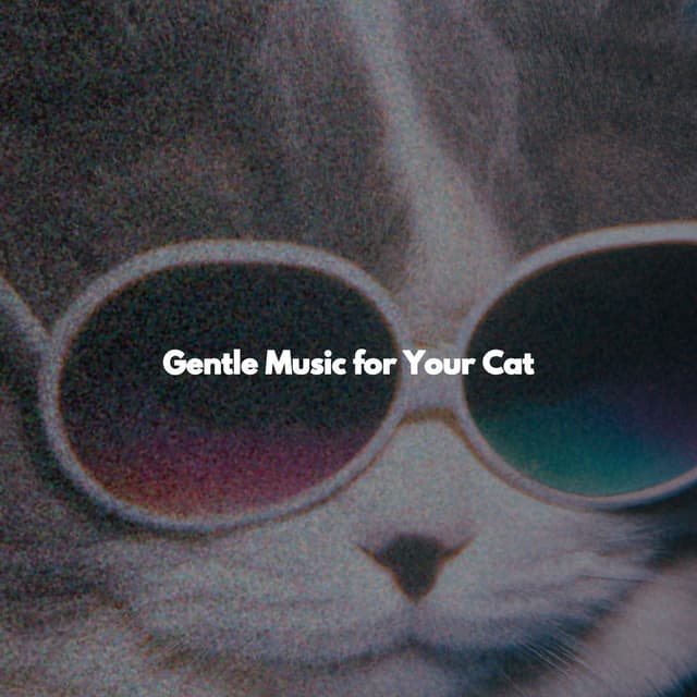 Gentle Music for Your Cat