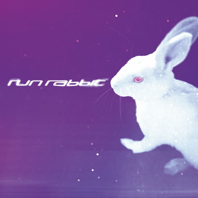 Run Rabbit