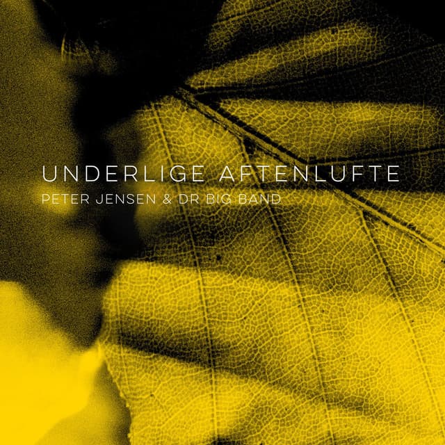 Underlige aftenlufte