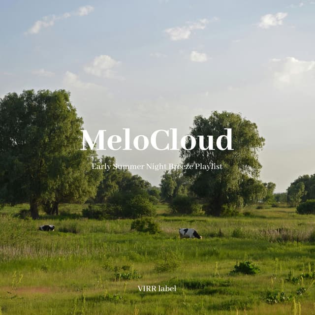 Early Summer Night Breeze Playlist