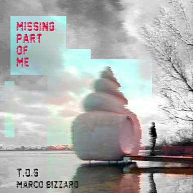 Missing Part of Me (feat. Marco Bizzaro)