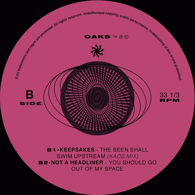 The Seen Shall Swim Upstream (Kaos Mix)