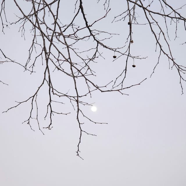 Winter Motion