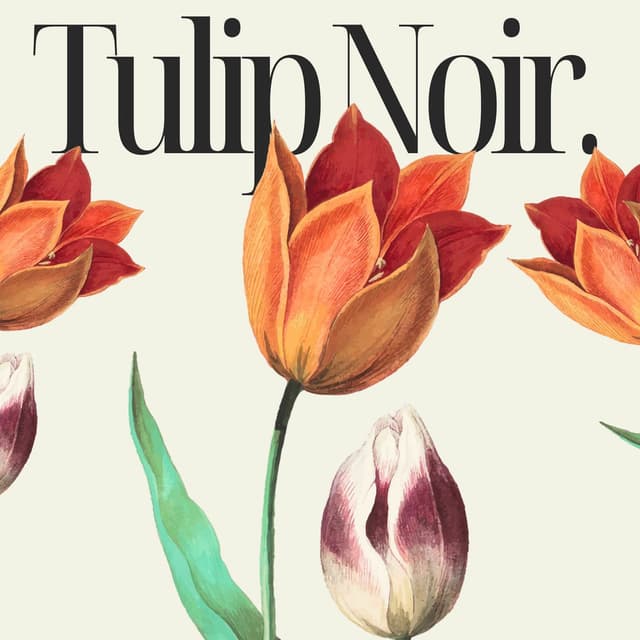 Tulip Noir: Love in Soft Tones, Sweet Lovers