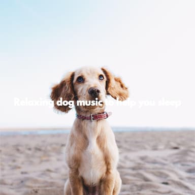 Relaxing dog music to help you sleep