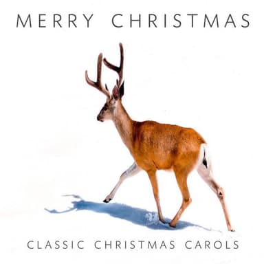 Merry Christmas - Classic Christmas Carols (Ocean - Fireplace - Asmr - Piano - Versions)
