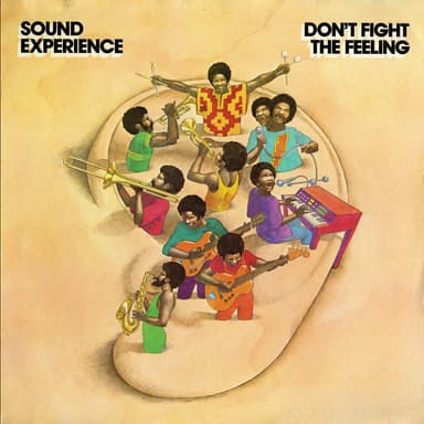 Don't Fight the Feeling (Deluxe Edition)