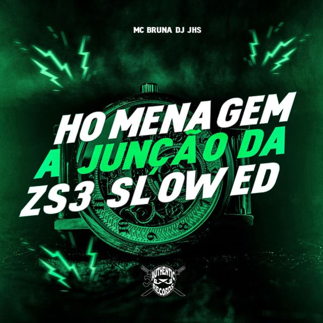 Homenagem a Junção da ZS3 (Slowed)