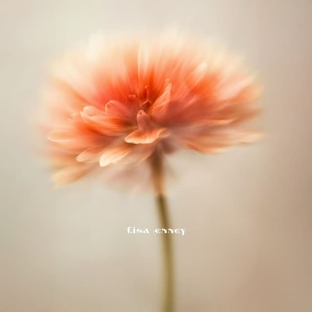 Unshaken