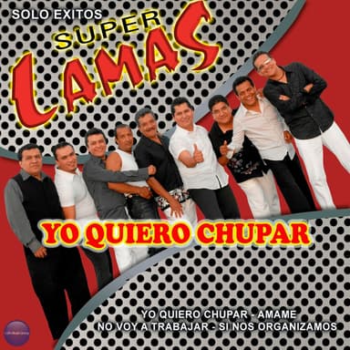 Yo Quiero Chupar / Solo Exitos