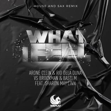 What I Feel (House and Sax Extended Remix)