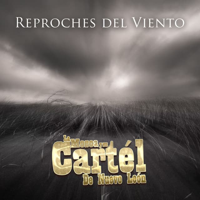 Reproches Del Viento