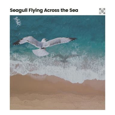 Seagull Flying Across the Sea