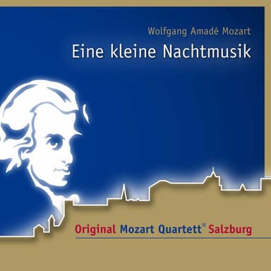 Eine kleine Nachtmusik