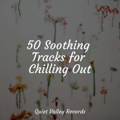 50 Soothing Tracks for Chilling Out
