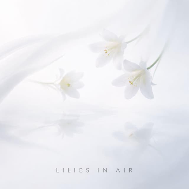 Lilies in Air