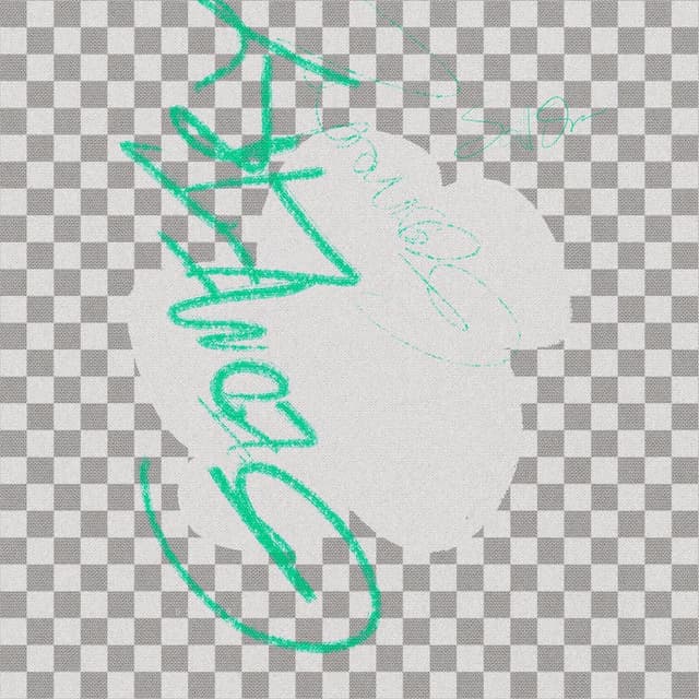 Digital Geometry