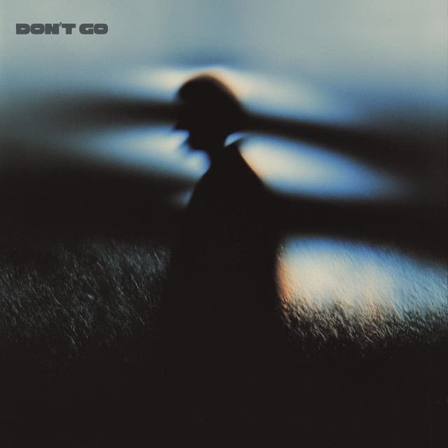 Don't Go