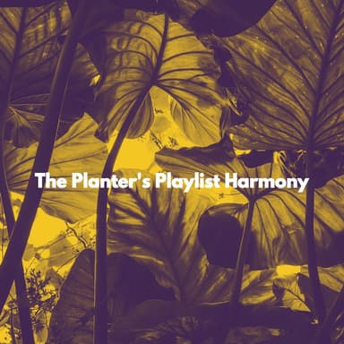 The Planter's Playlist Harmony