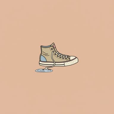 I Lost My Shoe