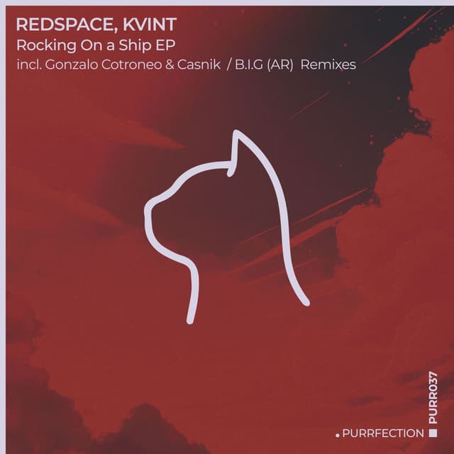 Rocking on a Ship (B.I.G AR Remix)