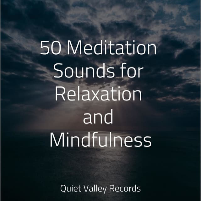 50 Meditation Sounds for Relaxation and Mindfulness
