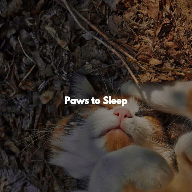Paws to Sleep