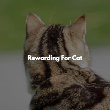 Rewarding For Cat