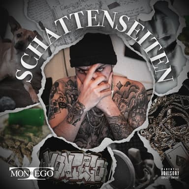 Schattenseiten