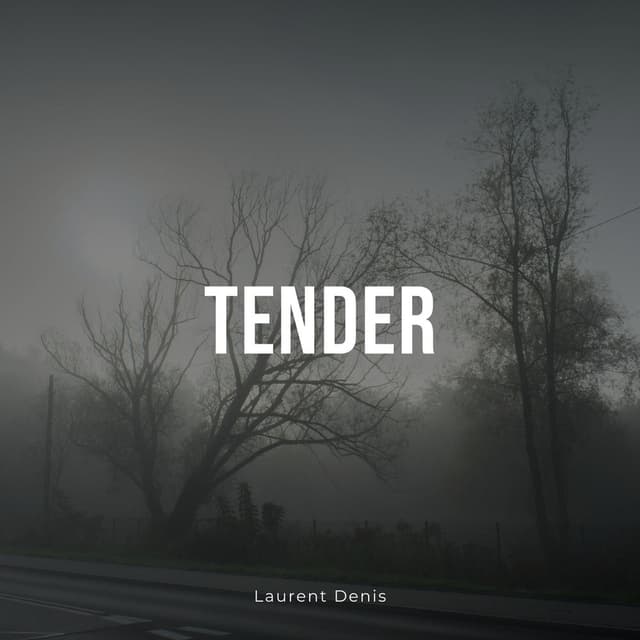 Tender