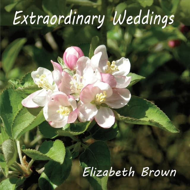 Extraordinary Weddings