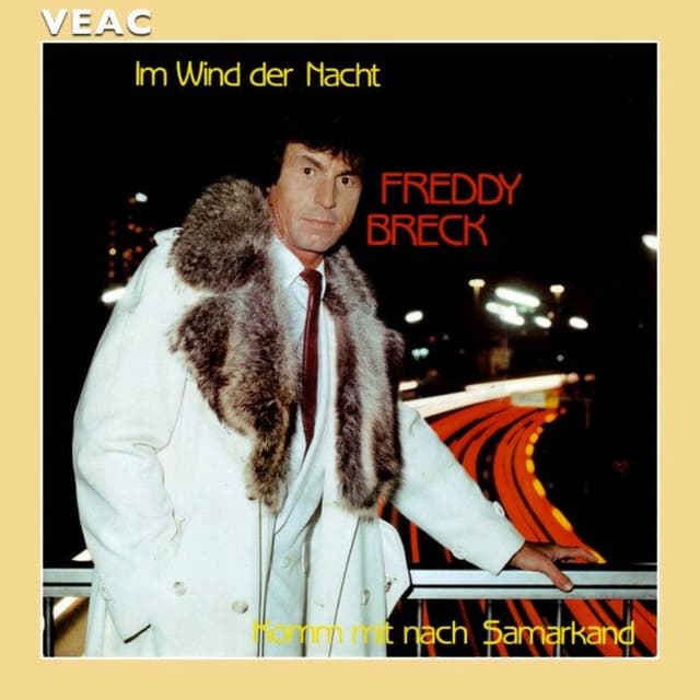 Im Wind der Nacht