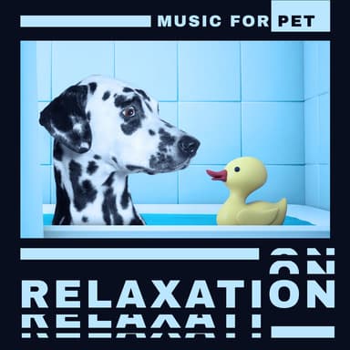 Music for Pet Relaxation