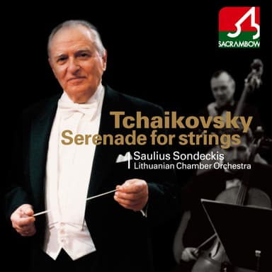 Tchaikovsky:Serenade for String Orchestra, Andante Cantabile