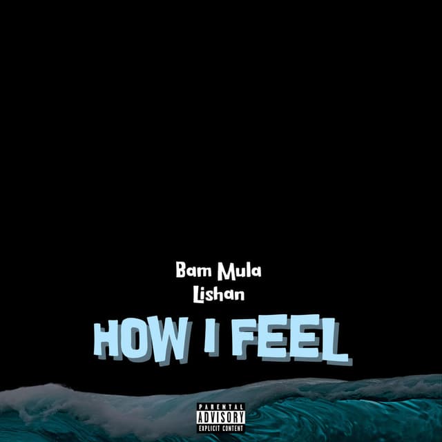 HOW I FEEL (feat. Bam Mula)