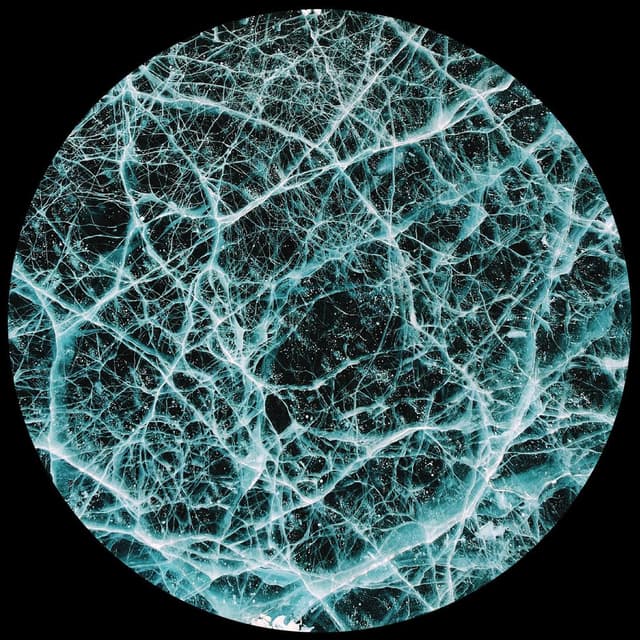 Indigo System