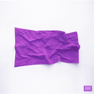 EVERYTHANG VIOLET