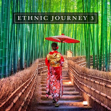 Ethnic Journey 3